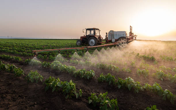 Pest Control for Warehouses in Pleasure Point, CA